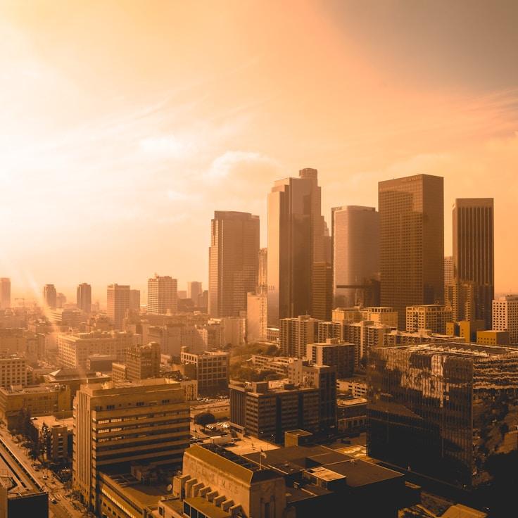 Family routine and school logistics in Springfield